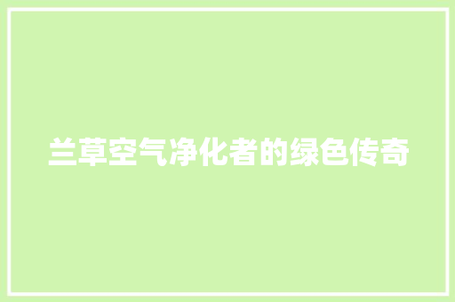 兰草空气净化者的绿色传奇 汽车维修