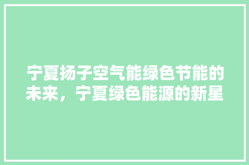 宁夏扬子空气能绿色节能的未来，宁夏绿色能源的新星