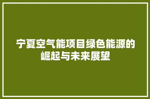 宁夏空气能项目绿色能源的崛起与未来展望