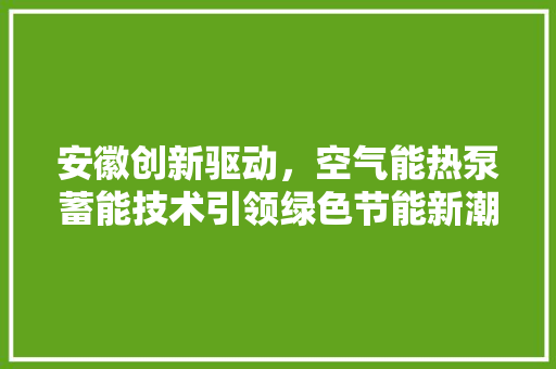 安徽创新驱动，空气能热泵蓄能技术引领绿色节能新潮流 综合便民