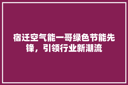 宿迁空气能一哥绿色节能先锋，引领行业新潮流 家电维修
