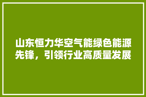 山东恒力华空气能绿色能源先锋，引领行业高质量发展