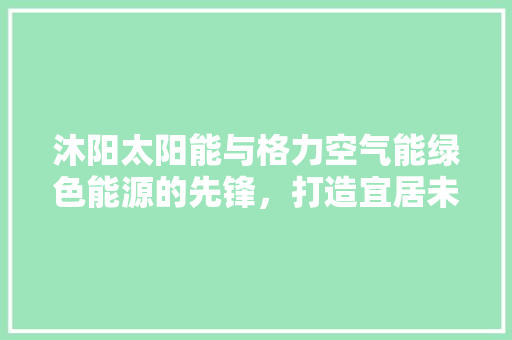 沐阳太阳能与格力空气能绿色能源的先锋，打造宜居未来 家电维修