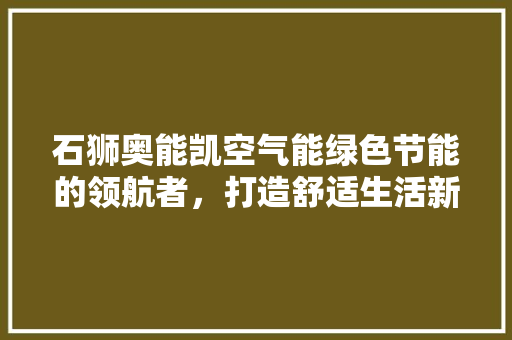 石狮奥能凯空气能绿色节能的领航者，打造舒适生活新篇章 厨房维修