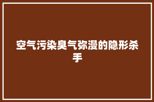 空气污染臭气弥漫的隐形杀手 家电维修