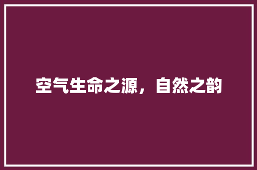 空气生命之源，自然之韵