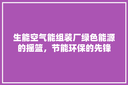 生能空气能组装厂绿色能源的摇篮，节能环保的先锋