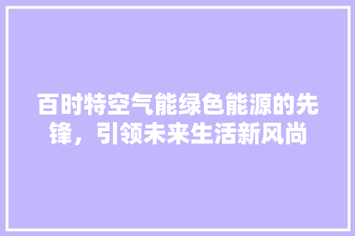百时特空气能绿色能源的先锋，引领未来生活新风尚