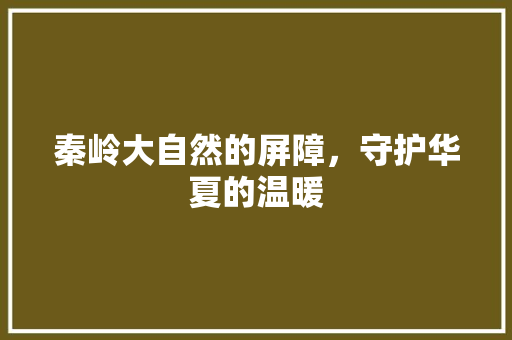 秦岭大自然的屏障，守护华夏的温暖 厨房维修