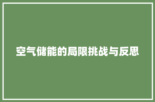 空气储能的局限挑战与反思