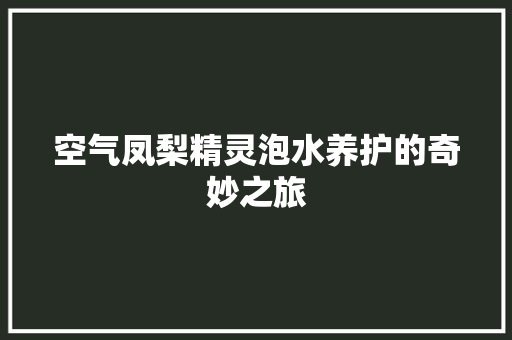 空气凤梨精灵泡水养护的奇妙之旅 综合便民