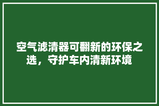 空气滤清器可翻新的环保之选，守护车内清新环境