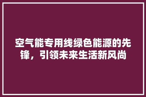 空气能专用线绿色能源的先锋，引领未来生活新风尚