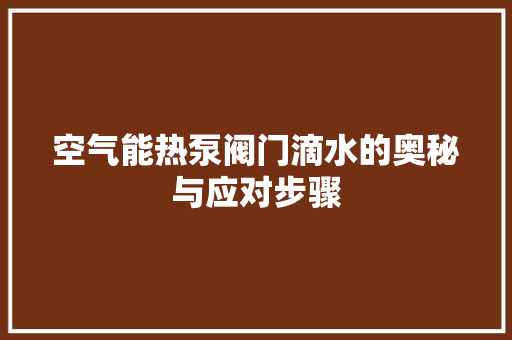 空气能热泵阀门滴水的奥秘与应对步骤 汽车维修