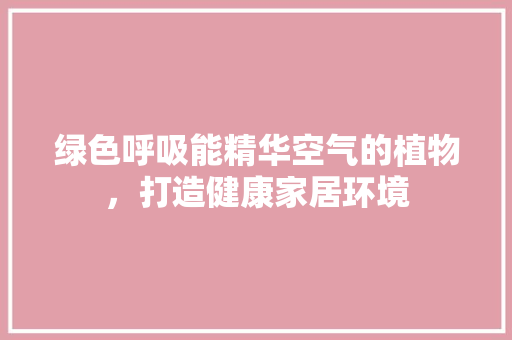 绿色呼吸能精华空气的植物，打造健康家居环境