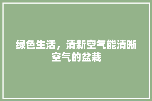 绿色生活，清新空气能清晰空气的盆栽