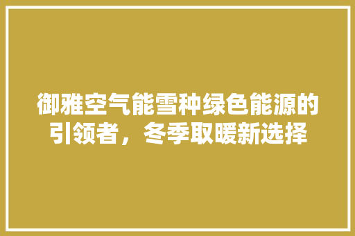 御雅空气能雪种绿色能源的引领者，冬季取暖新选择