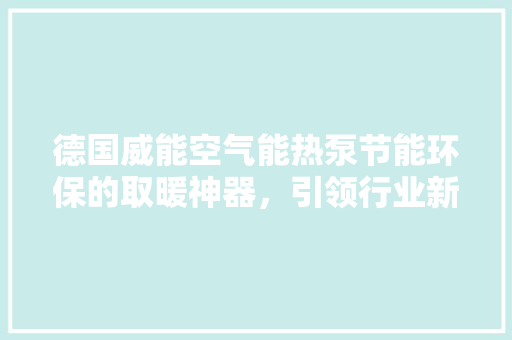 德国威能空气能热泵节能环保的取暖神器，引领行业新潮流