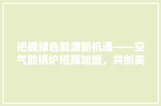 把握绿色能源新机遇——空气能锅炉招商加盟，共创美好未来 厨房维修