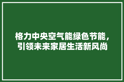 格力中央空气能绿色节能，引领未来家居生活新风尚 厨房维修