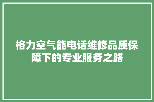 格力空气能电话维修品质保障下的专业服务之路