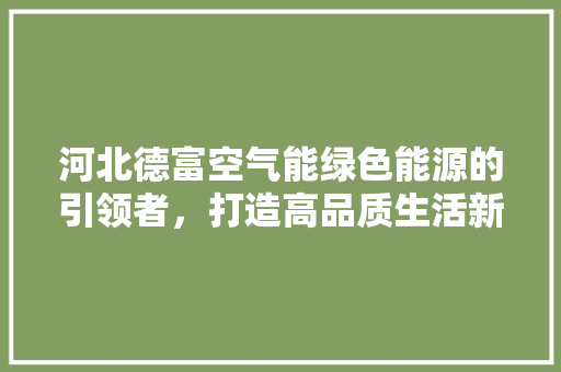 河北德富空气能绿色能源的引领者，打造高品质生活新篇章 厨房维修