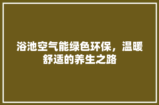 浴池空气能绿色环保，温暖舒适的养生之路 厨房维修