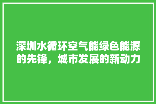 深圳水循环空气能绿色能源的先锋，城市发展的新动力