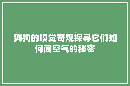 狗狗的嗅觉奇观探寻它们如何闻空气的秘密 家电维修