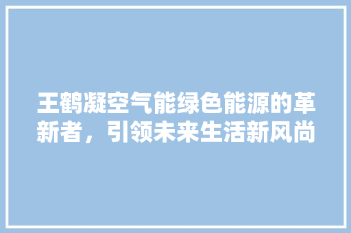 王鹤凝空气能绿色能源的革新者，引领未来生活新风尚