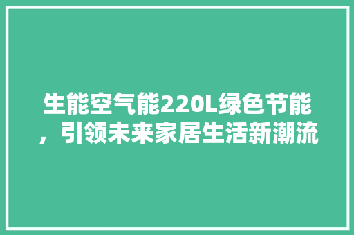生能空气能220L绿色节能，引领未来家居生活新潮流