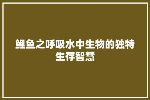 鲤鱼之呼吸水中生物的独特生存智慧 厨房维修