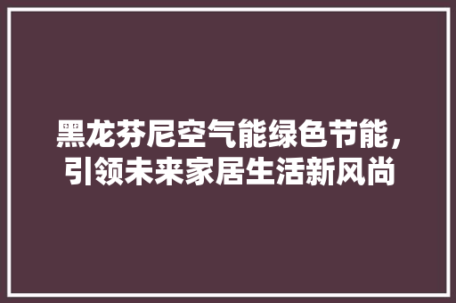 黑龙芬尼空气能绿色节能，引领未来家居生活新风尚 墙体维修