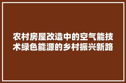 农村房屋改造中的空气能技术绿色能源的乡村振兴新路径 墙体维修