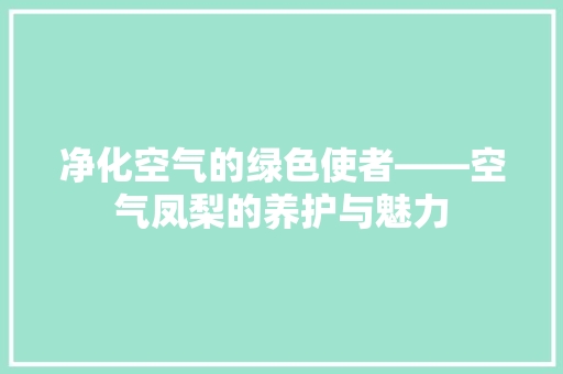 净化空气的绿色使者——空气凤梨的养护与魅力 厨房维修