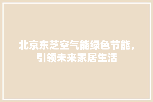 北京东芝空气能绿色节能，引领未来家居生活 综合便民