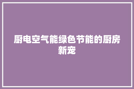 厨电空气能绿色节能的厨房新宠