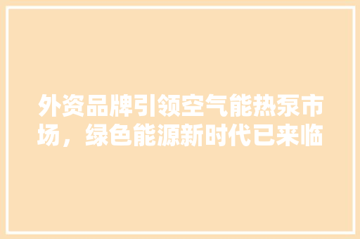 外资品牌引领空气能热泵市场，绿色能源新时代已来临