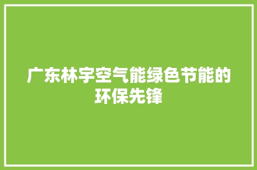 广东林宇空气能绿色节能的环保先锋 综合便民