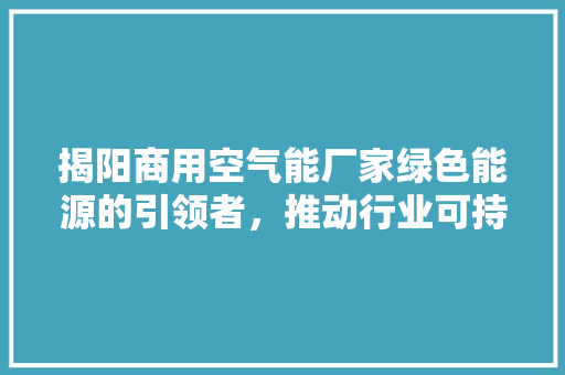 揭阳商用空气能厂家绿色能源的引领者，推动行业可持续发展 汽车维修