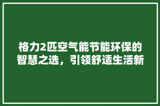 格力2匹空气能节能环保的智慧之选，引领舒适生活新风尚