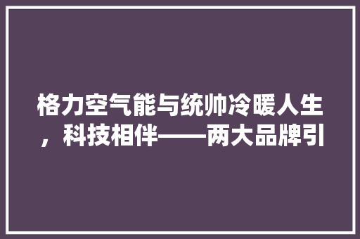 格力空气能与统帅冷暖人生，科技相伴——两大品牌引领空气能市场新潮流