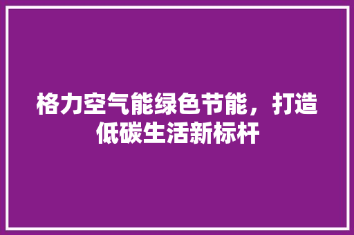 格力空气能绿色节能，打造低碳生活新标杆 汽车维修