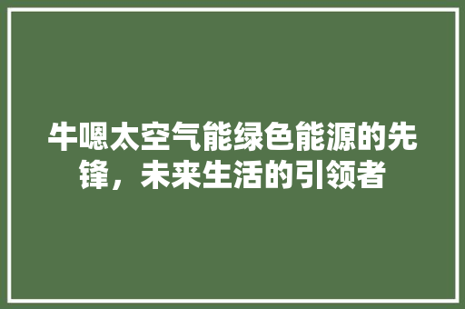 牛嗯太空气能绿色能源的先锋，未来生活的引领者 厨房维修