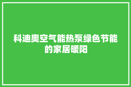 科迪奥空气能热泵绿色节能的家居暖阳 汽车维修