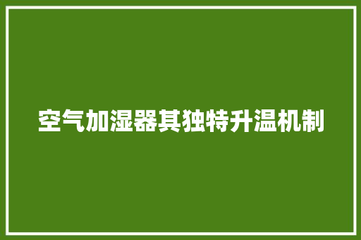 空气加湿器其独特升温机制 汽车维修