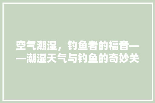 空气潮湿，钓鱼者的福音——潮湿天气与钓鱼的奇妙关系 汽车维修