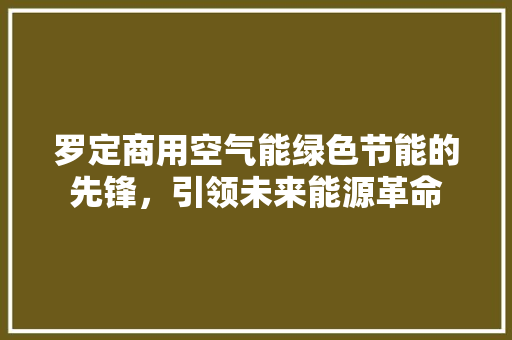 罗定商用空气能绿色节能的先锋，引领未来能源革命
