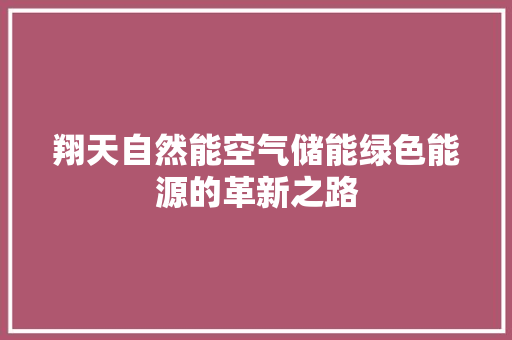 翔天自然能空气储能绿色能源的革新之路