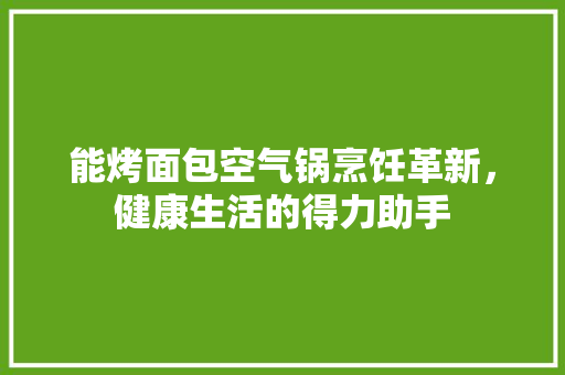 能烤面包空气锅烹饪革新，健康生活的得力助手